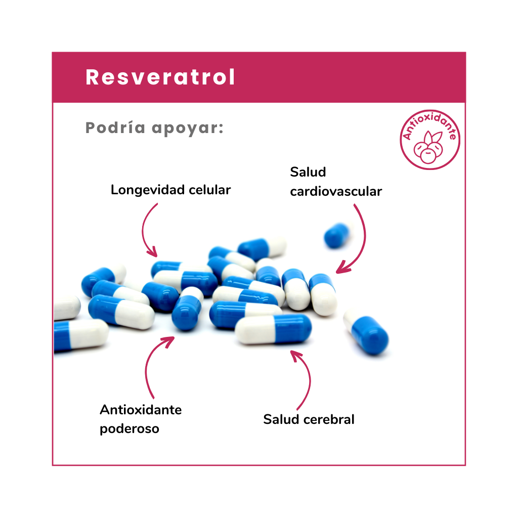 Descubre Resveratrol, el antioxidante natural que protege tu corazón, combate el envejecimiento celular y mejora tu salud. ¡Cuida tu cuerpo desde adentro!