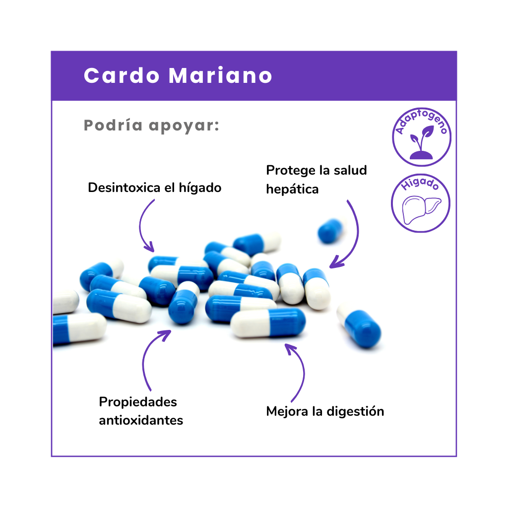 Cardo Mariano: Protege y regenera tu hígado de forma natural. Detoxifica, mejora la digestión y potencia tu bienestar. ¡Cuida tu salud hoy!