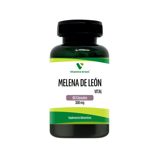 Melena de Leon Vitamina Green, suplemento nootrópico para potenciar tu memoria y concentración. ¡Compra en Chile y mejora tu enfoque hoy!