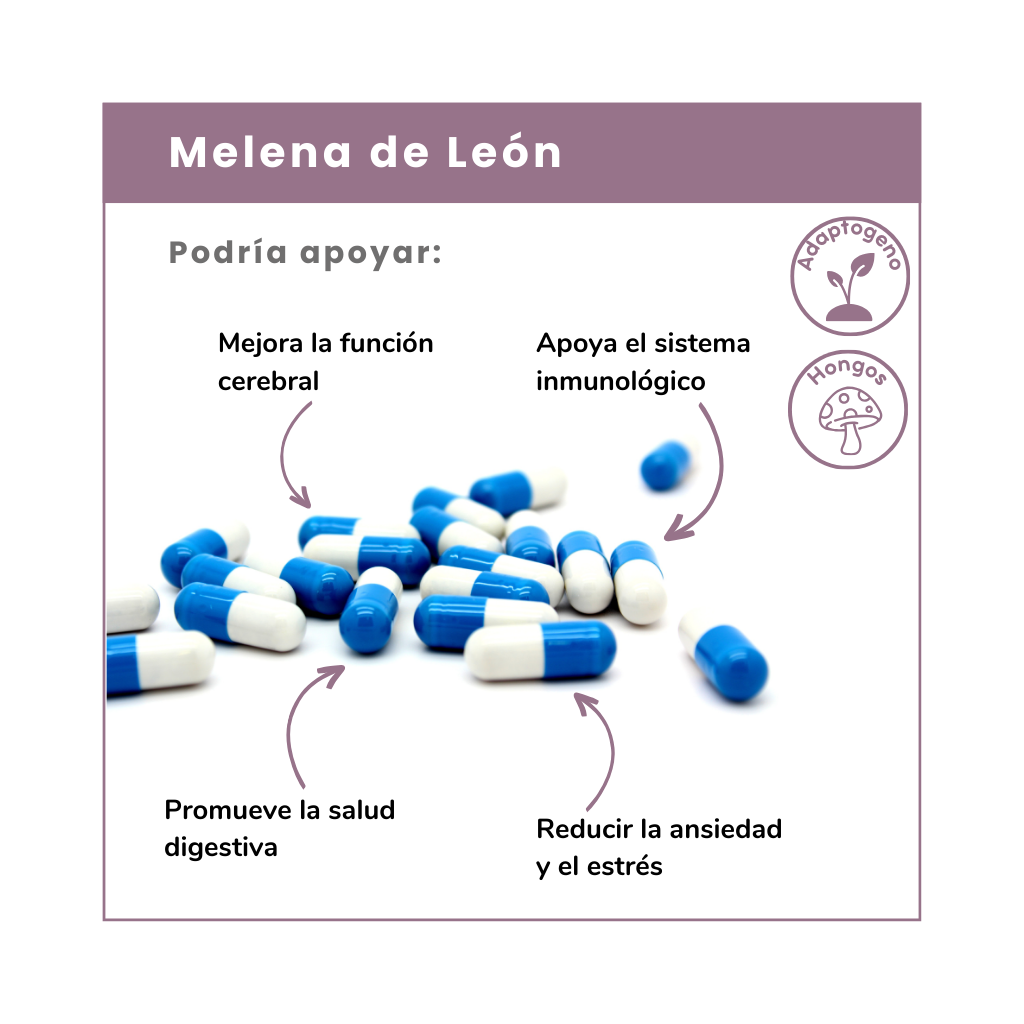 Melena de León, Potencia tu memoria, concentración y salud cerebral. Apoya la regeneración neuronal y el bienestar mental. ¡Descubre sus beneficios ahora!